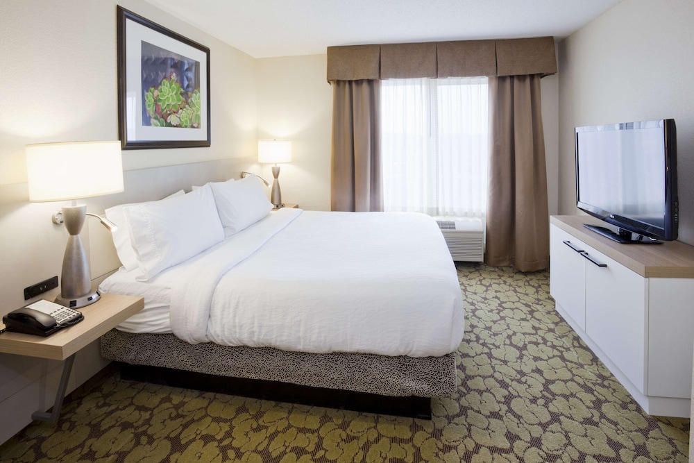 Suite, 1 King Bed, Accessible - Photo 3