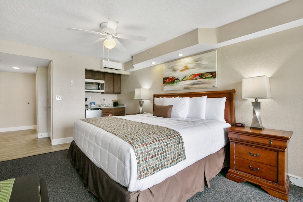 Signature Room, 1 King Bed photo 2