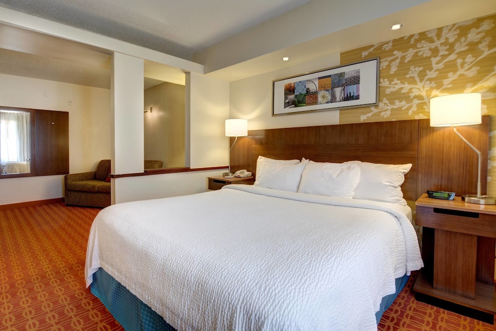 Executive Suite, 1 King Bed with Sofa bed