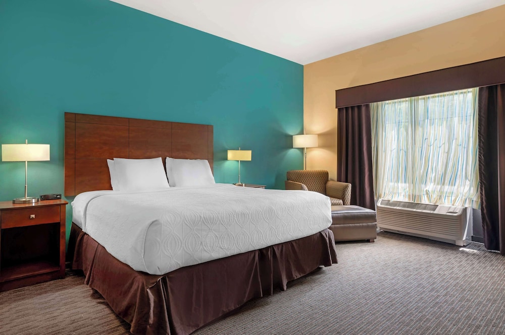 Suite, 1 King Bed, Accessible, Kitchenette (with Sofabed) photo 1