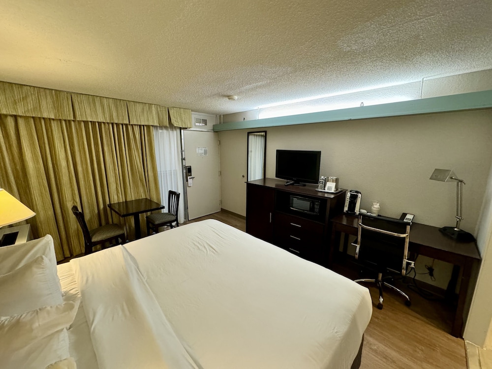 Deluxe Room, 1 King Bed, Non Smoking - Photo 4