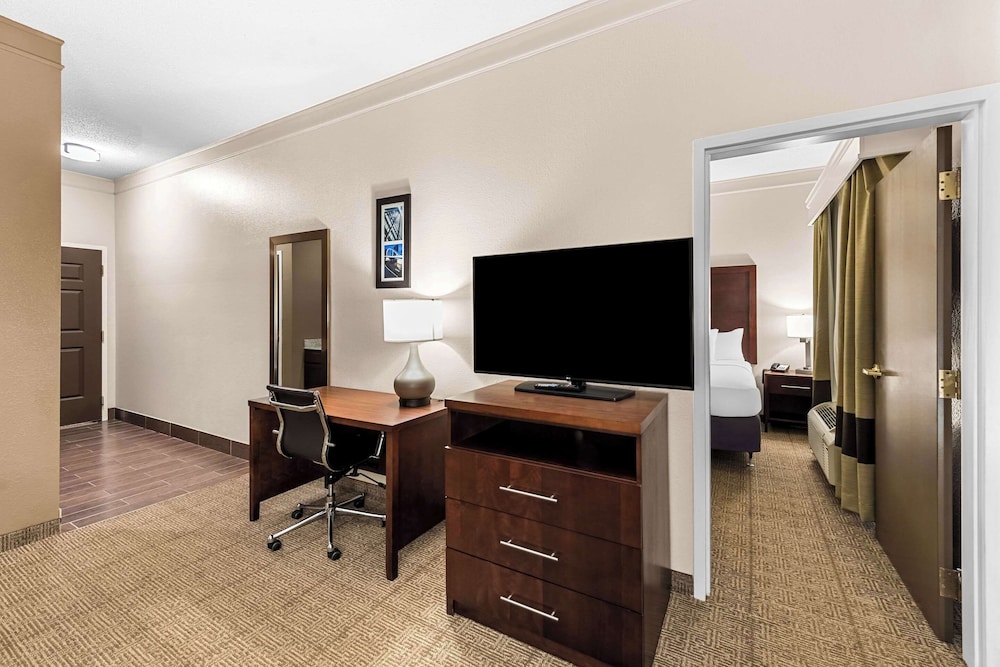 Suite, 1 King Bed with Sofa bed, Non Smoking photo 3
