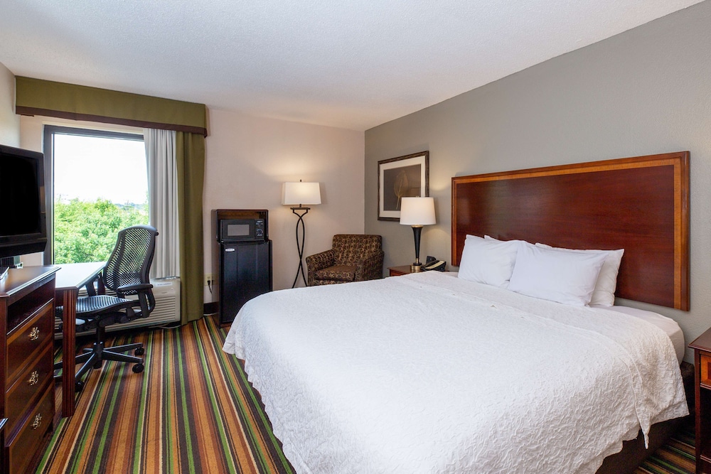 Room, 1 King Bed, Accessible - Photo 1