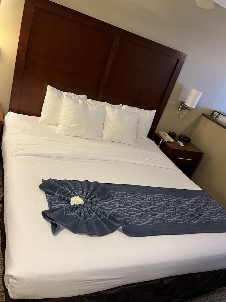 Suite, 1 King Bed, Non Smoking - Photo 7