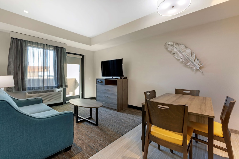 Suite, 1 King Bed, Non Smoking, Kitchenette (with Sofabed) - Photo 5