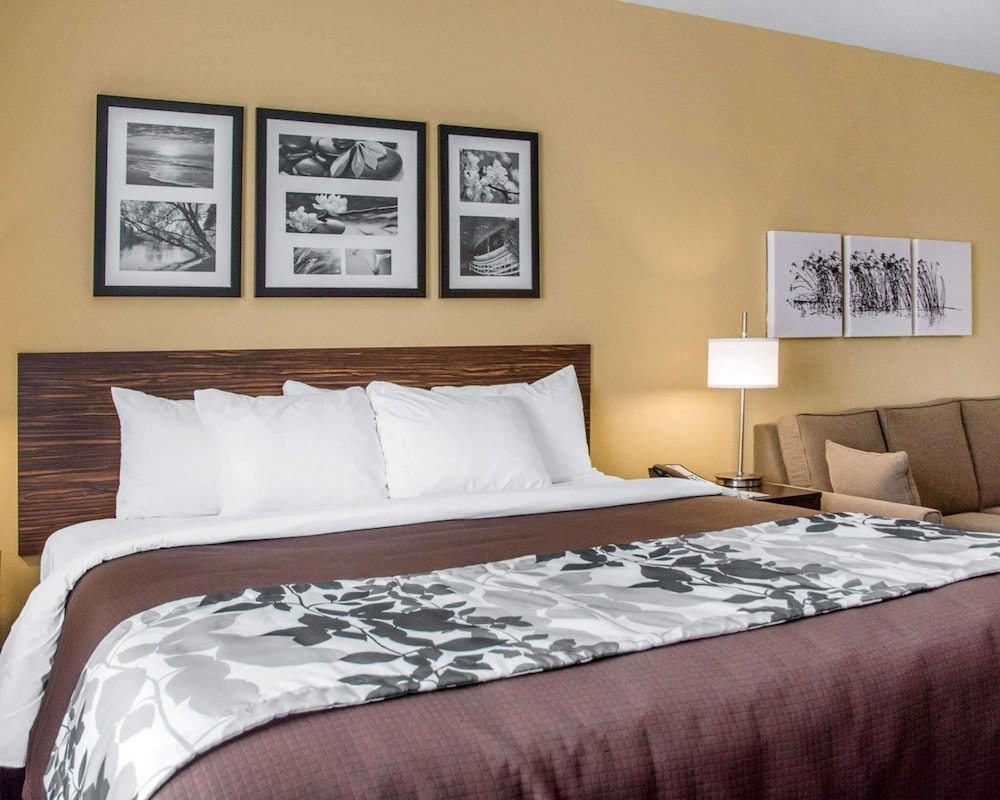 Room, 1 King Bed, Accessible, Non Smoking