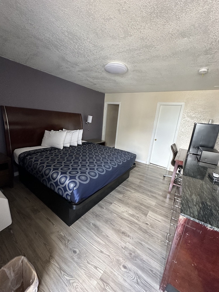 Standard Single Room, 1 King Bed