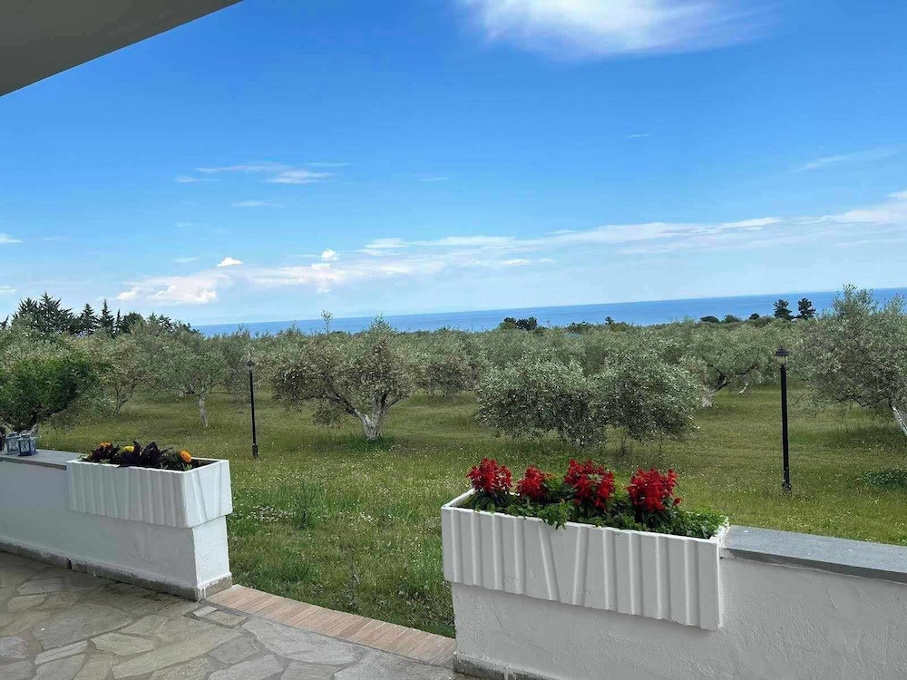 Zeusplace Olympus Olive Country House 4, Bilde 5