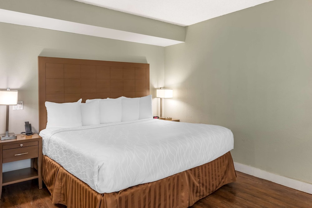Standard Room, 1 King Bed, Accessible, Refrigerator & Microwave - Photo 1