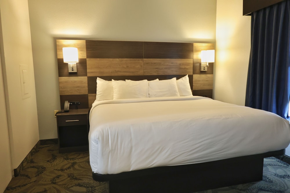 Basic Suite, 1 King Bed with Sofa bed, Non Smoking - Photo 2