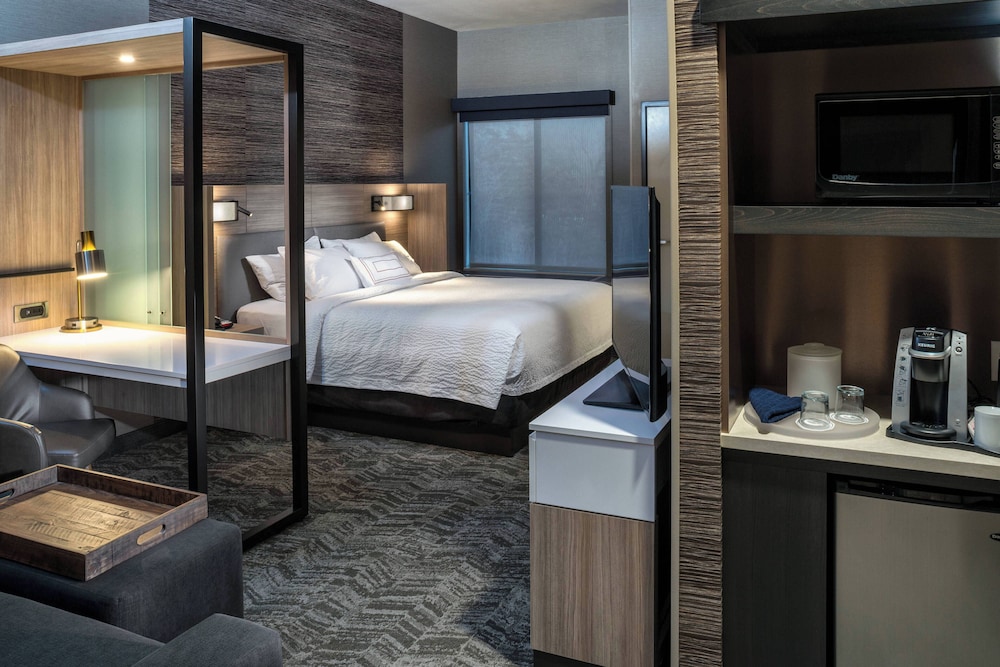 Suite, 1 King Bed with Sofa bed