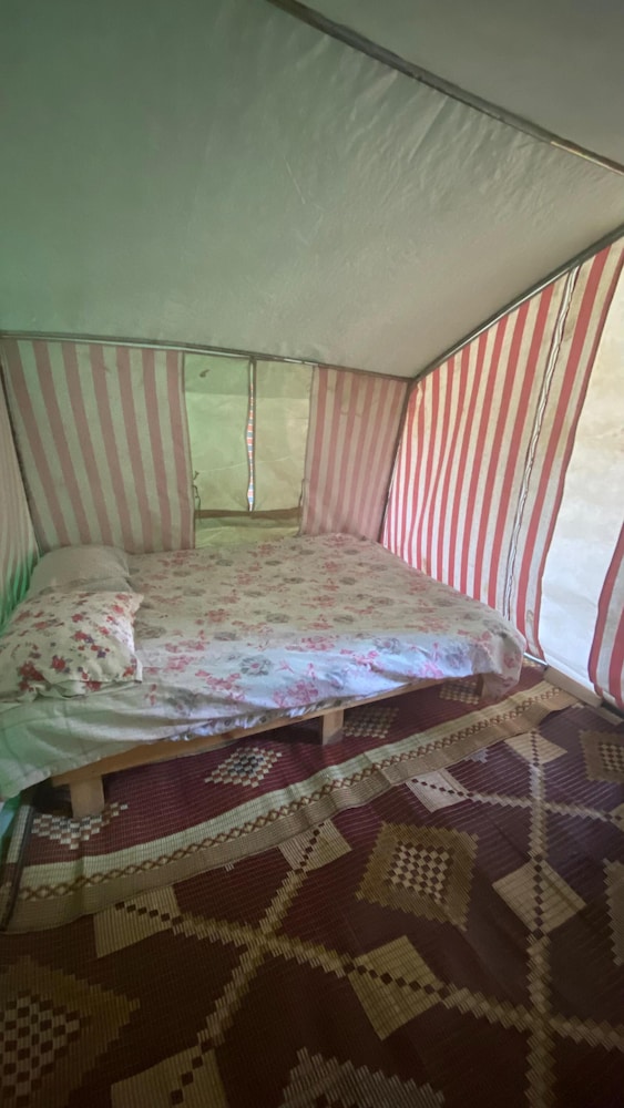 Standard Tent, Garden View photo 1