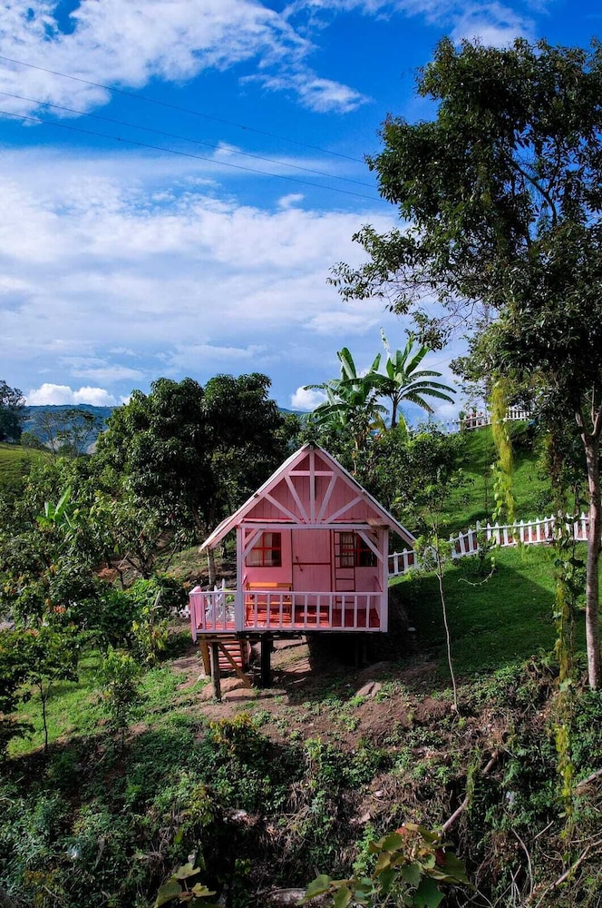 Panoramic Cabin, Mountain View