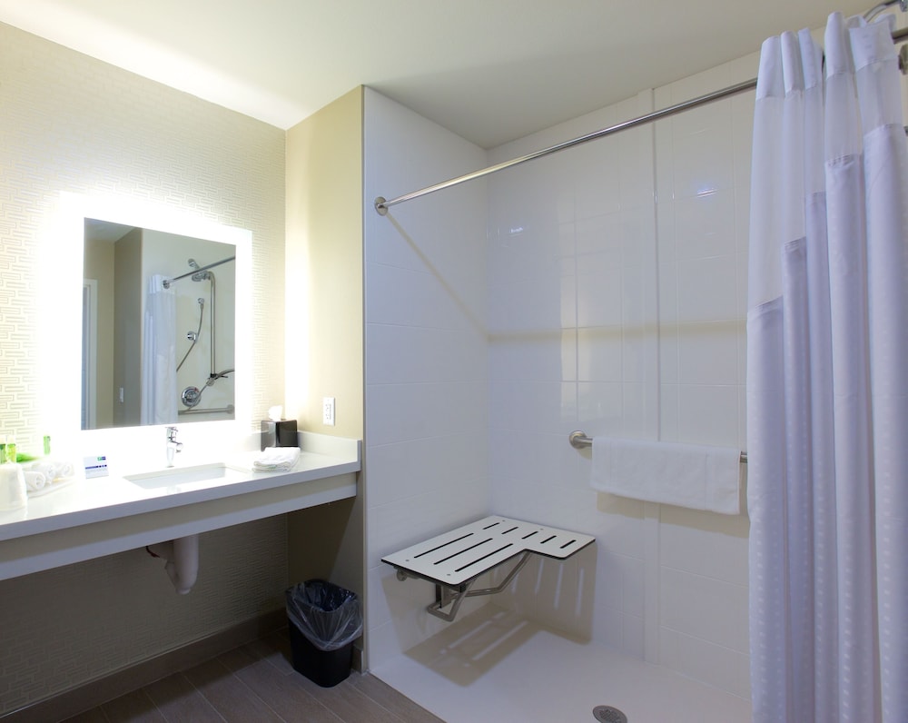 Room, 1 King Bed, Accessible (Roll-In Shower) photo 2
