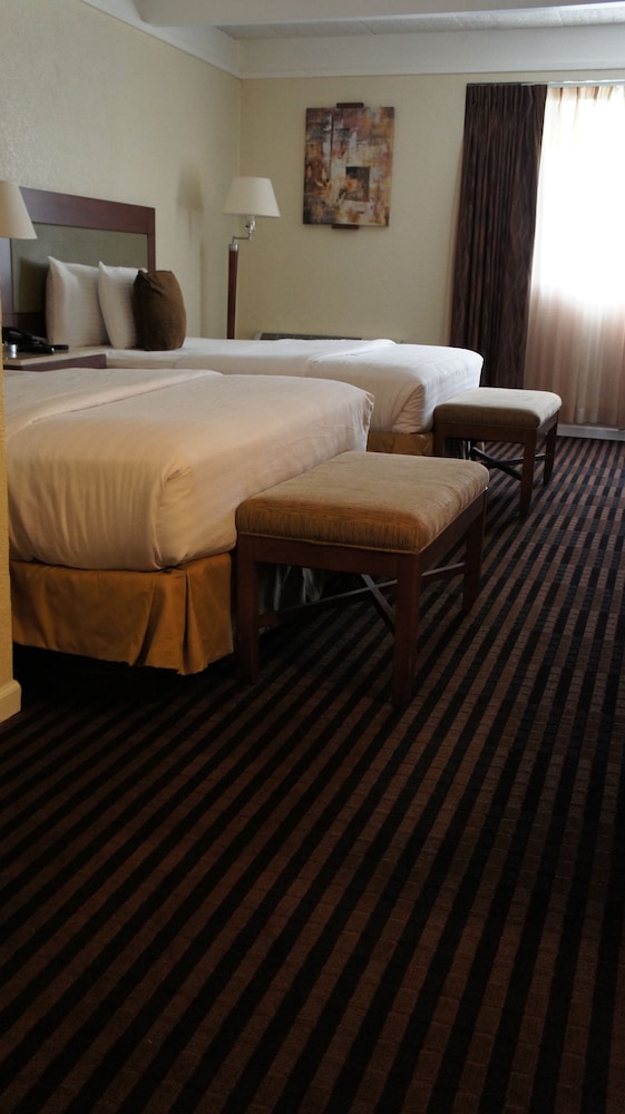 Standard Room, 2 Queen Beds - Photo 5