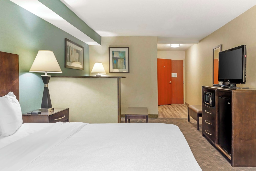 Suite, 1 King Bed, Accessible, Refrigerator & Microwave (with Sofabed) - Photo 3