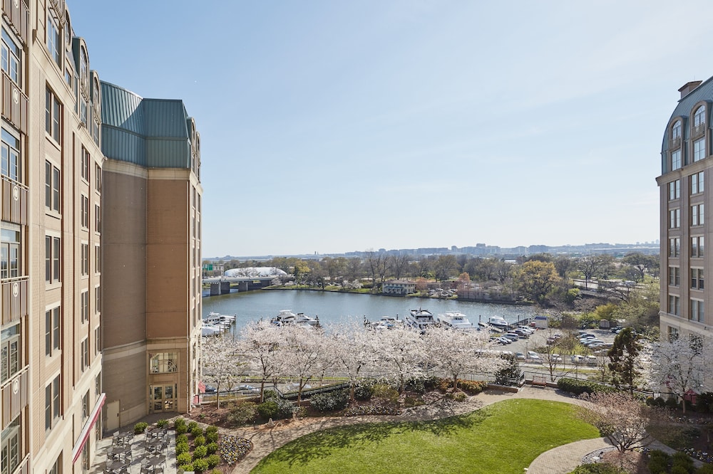 Marina View One Bedroom Suite Accessible Roll In