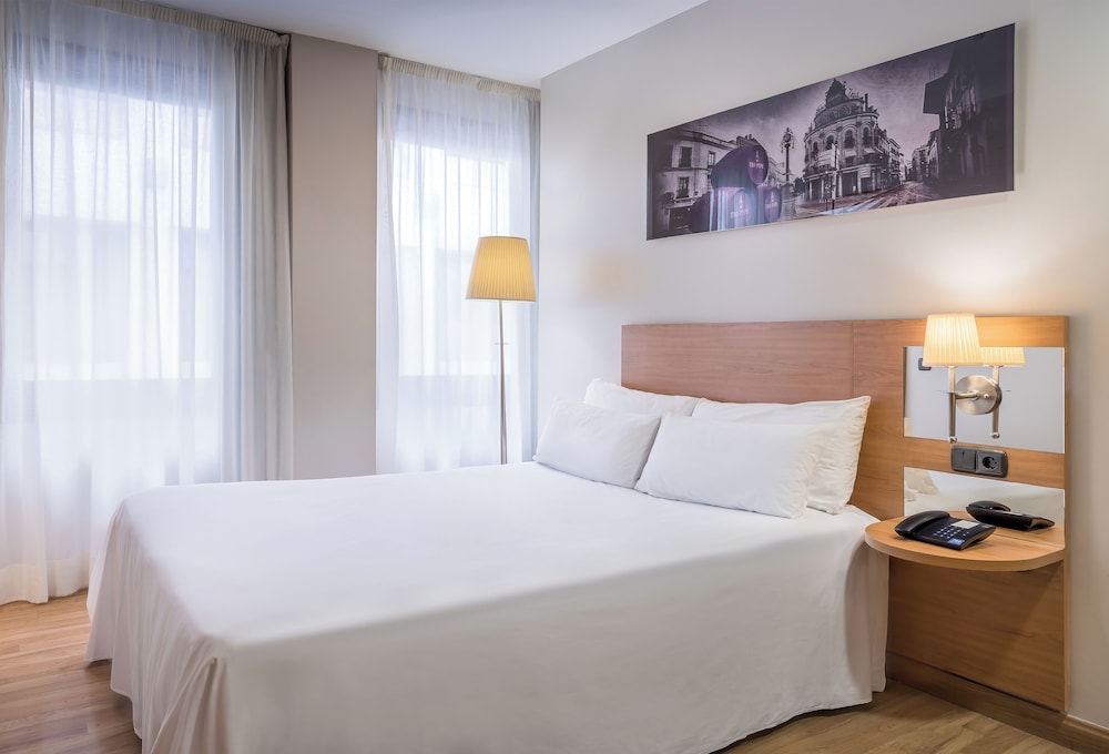 Room, 1 Twin Bed
