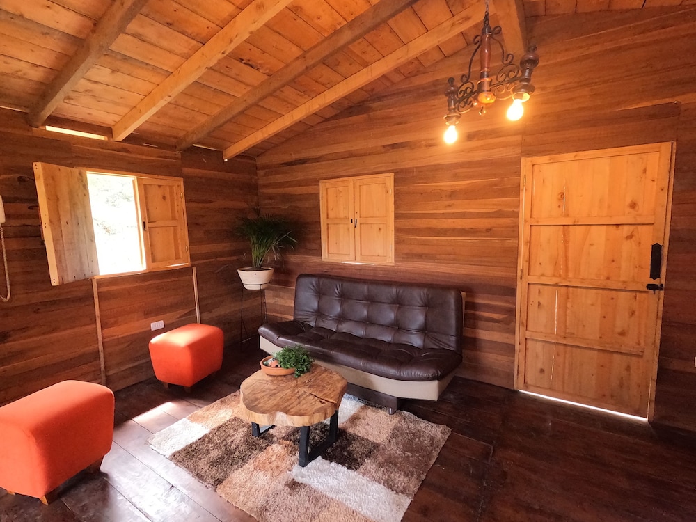 Tree House photo 1