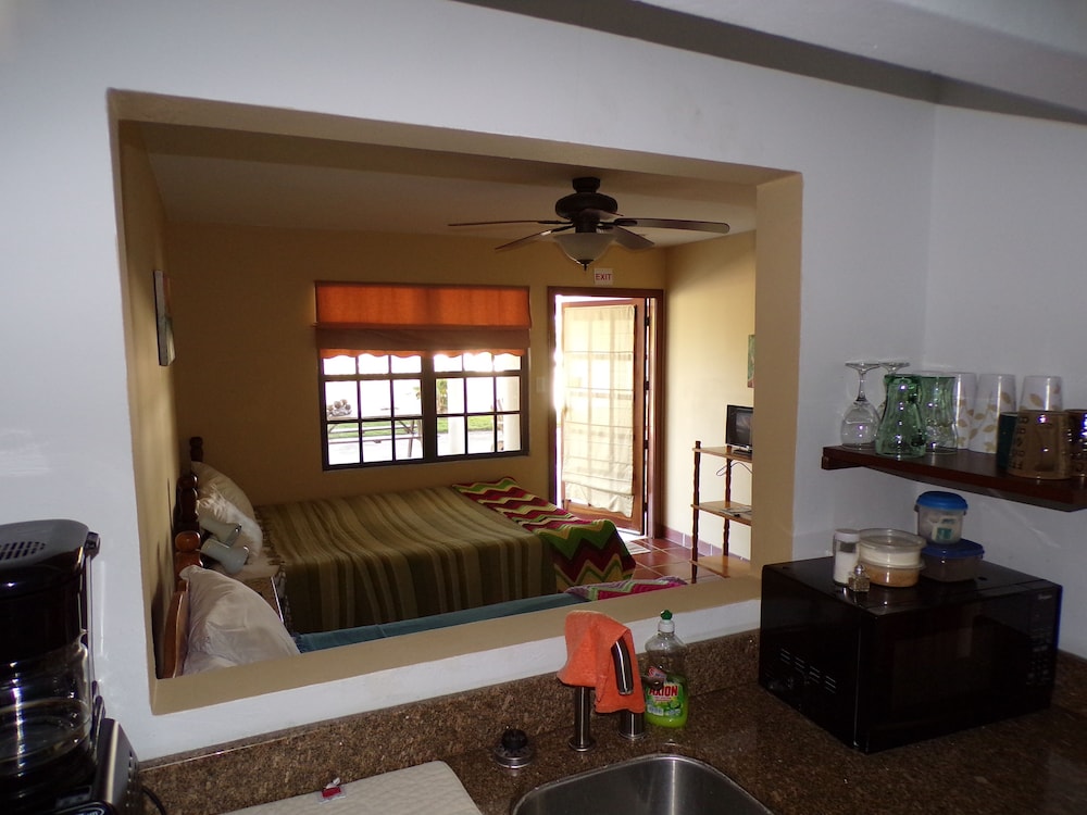 Comfort Studio, 1 Queen Bed photo 2