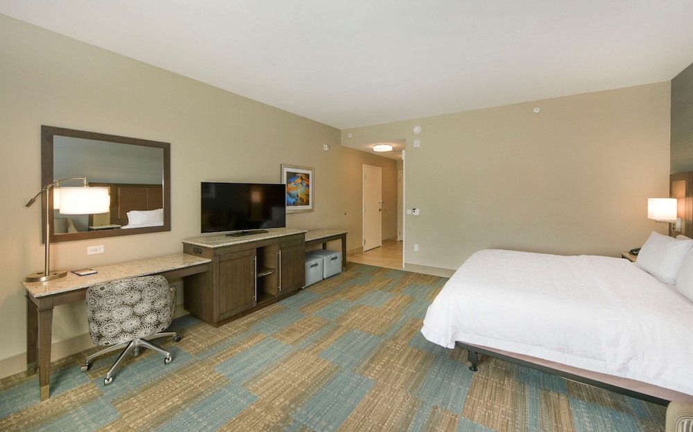 Room, 1 King Bed with Sofa bed, Accessible, Non Smoking photo 2