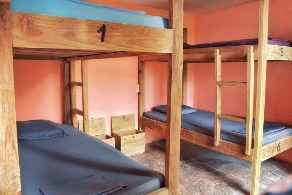 Shared Dormitory, Mix Dorm, 4 Guests - Dolphin Bay photo 1