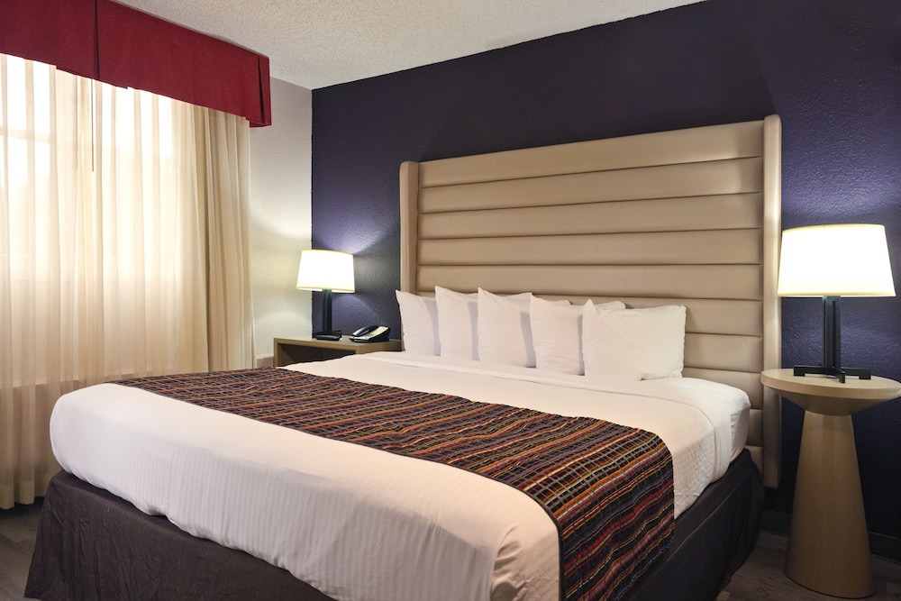 Studio Suite, 1 King Bed photo 3