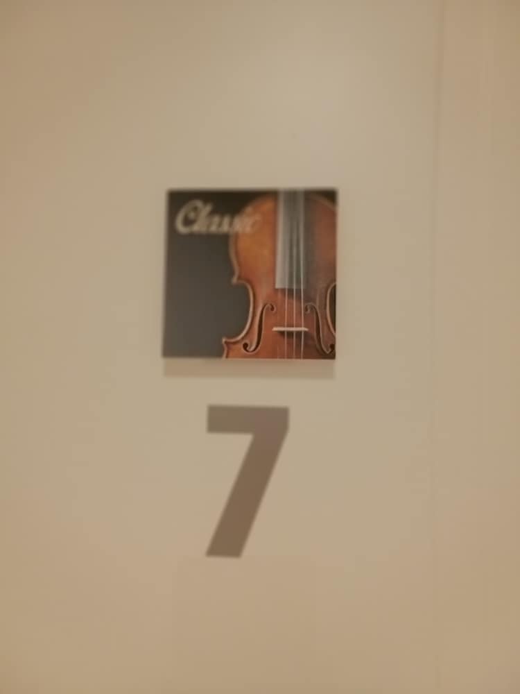 Classic Room photo 3