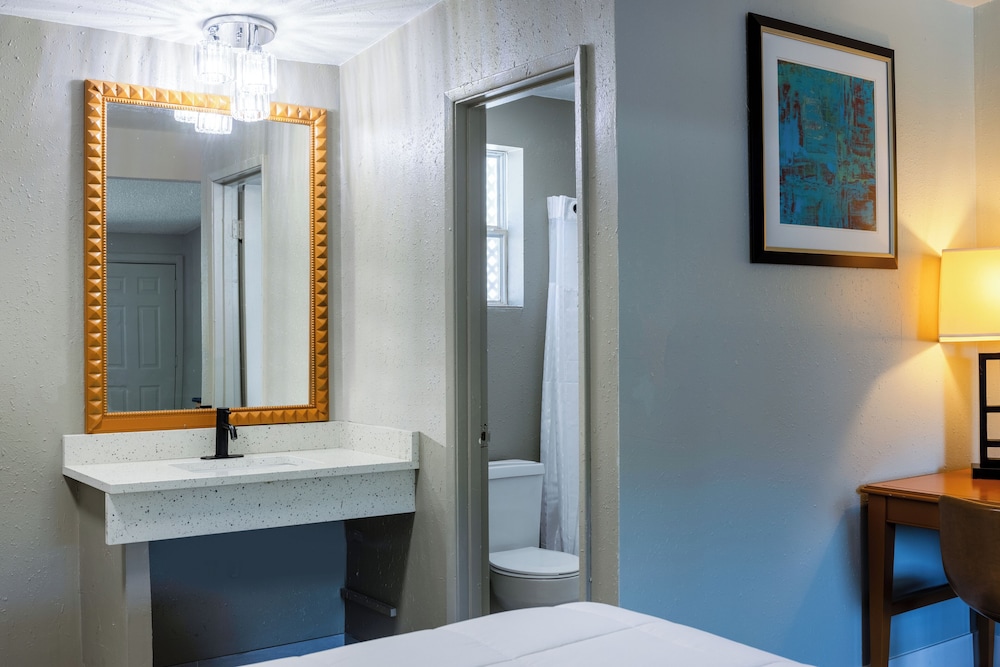 Suite, 1 King Bed - Photo 2