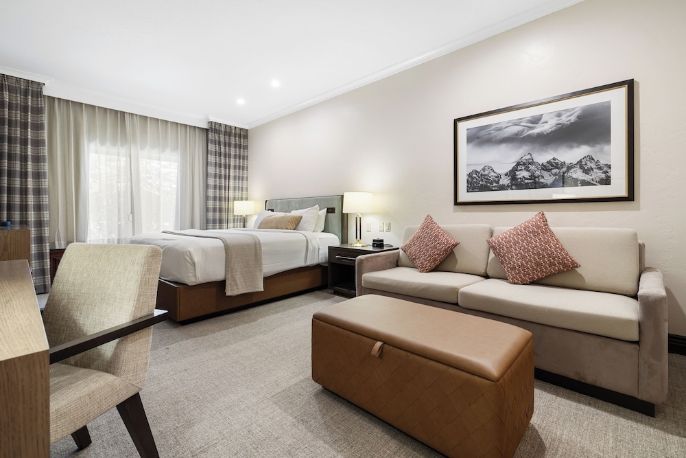 Room, 1 King Bed with Sofa bed, Accessible (Premier King - Accessible) - Photo 2