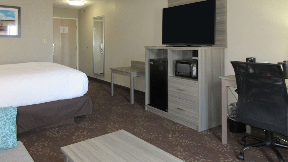 Room, 1 King Bed, Accessible, Non Smoking (Roll-In Shower) - Photo 4