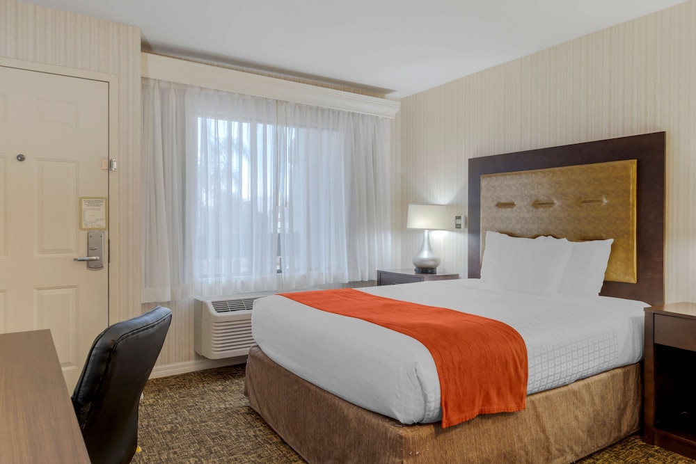 Standard Room, Multiple Beds, Non Smoking, Refrigerator & Microwave - Photo 1