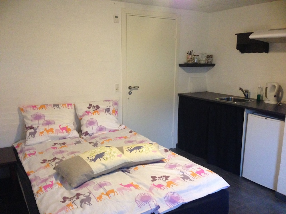 Standard Double Room, Kitchenette photo 2