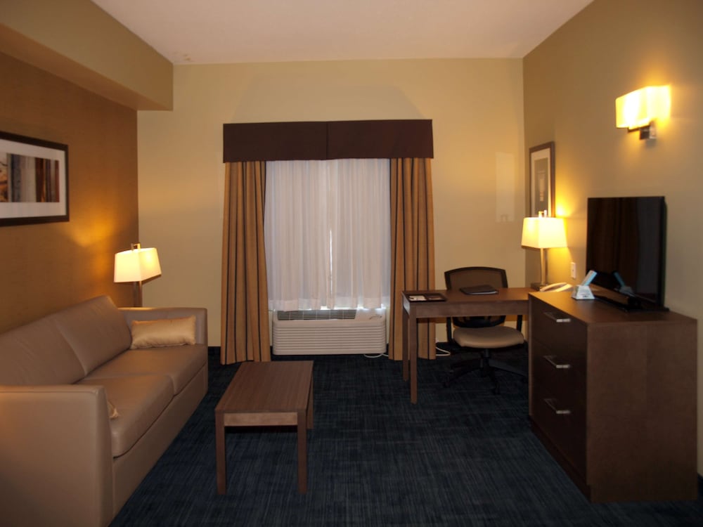 Suite, 1 King Bed, Non Smoking, Kitchenette (with Sofabed)