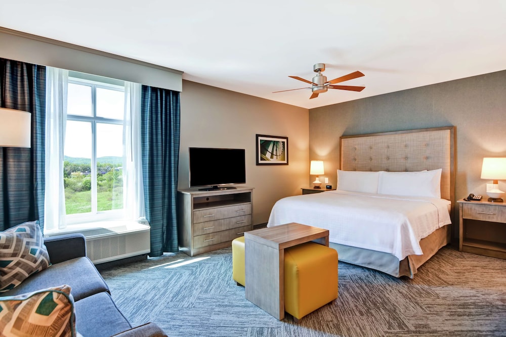 Studio, 1 King Bed, Accessible, Bathtub (Mobility & Hearing) - Photo 2