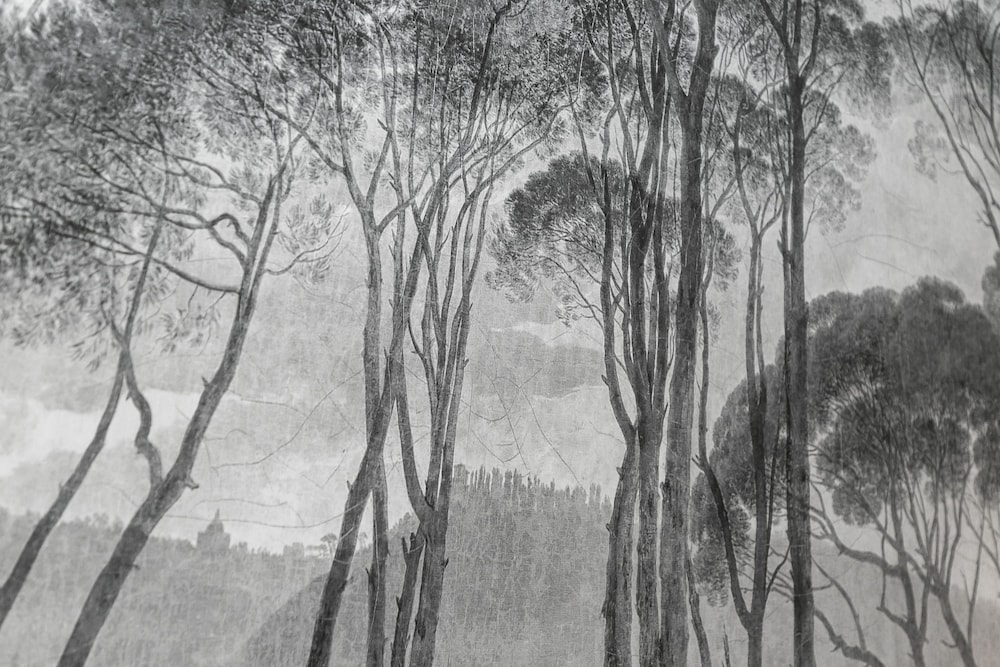 Superior Room photo 2