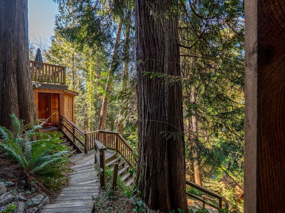 Romantic Cottage, Hot Tub (With Loft) photo 2