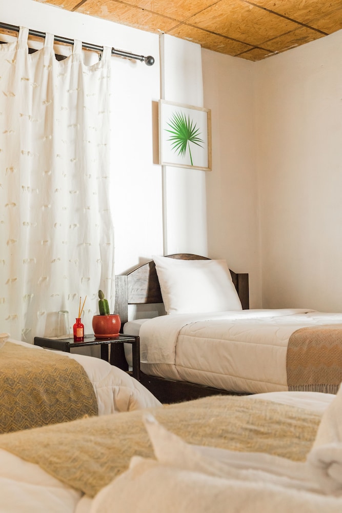 Triple Room, 1 Bedroom photo 1