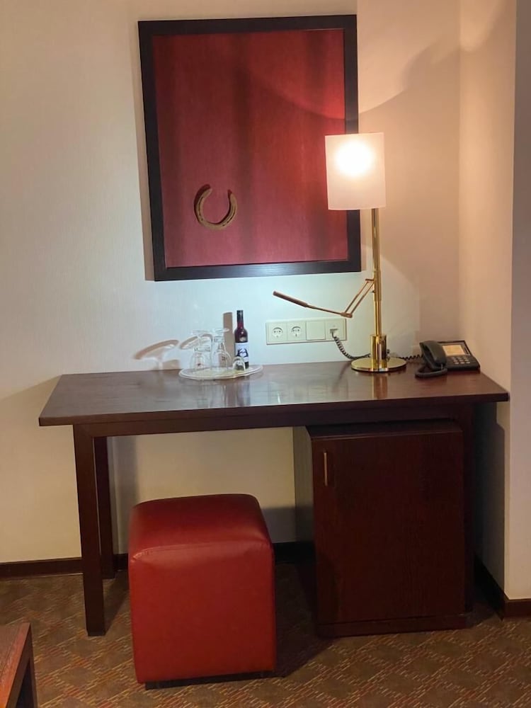 Superior Single Room photo 3