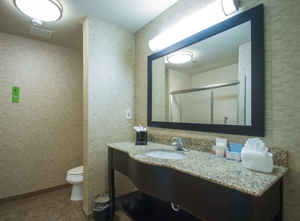 Room, 1 King Bed with Sofa bed, Accessible, Non Smoking (Mobility & Hearing, Roll-in Shower) - Photo 6