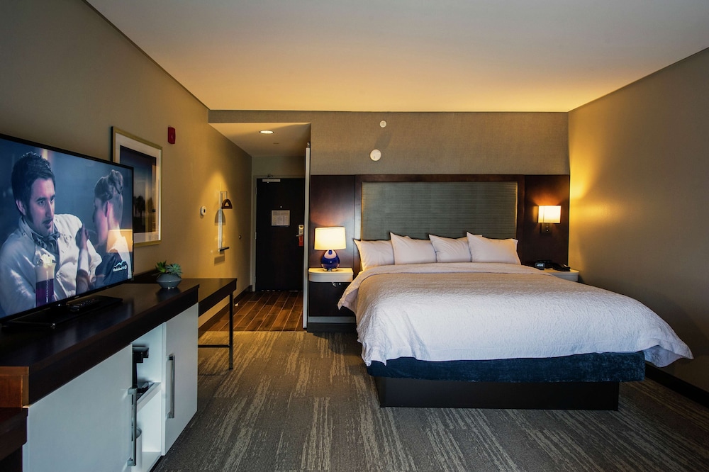 Room, 1 King Bed, Accessible (Roll-In Shower)