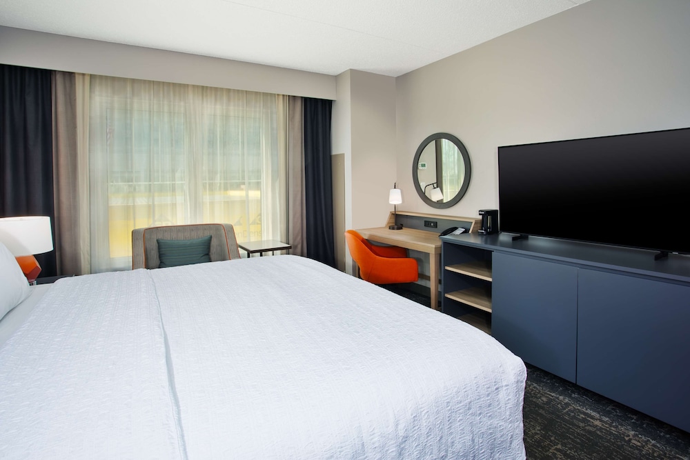Suite, 1 King Bed, Accessible (Mobility & Hearing, Roll-in Shower) photo 1