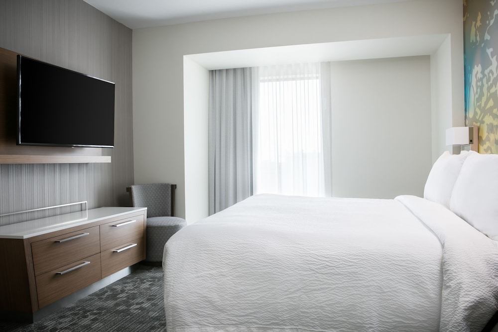 Suite, 1 King Bed with Sofa bed