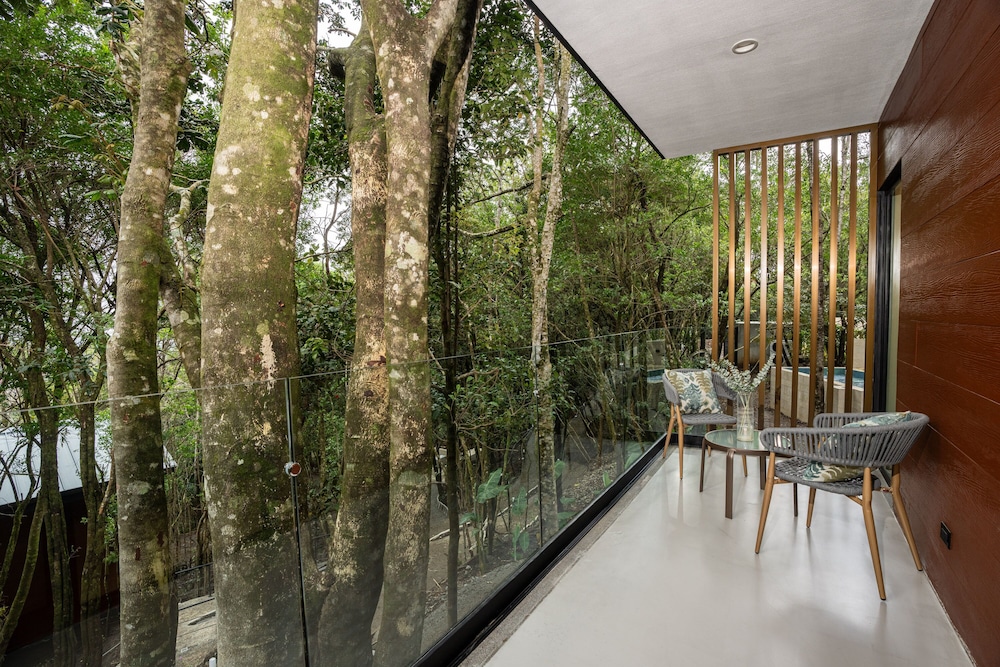 Forest King Room - Photo 2
