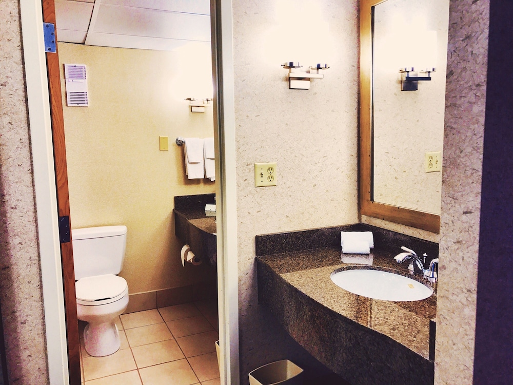 Suite, 1 King Bed (Congressional) - Photo 6