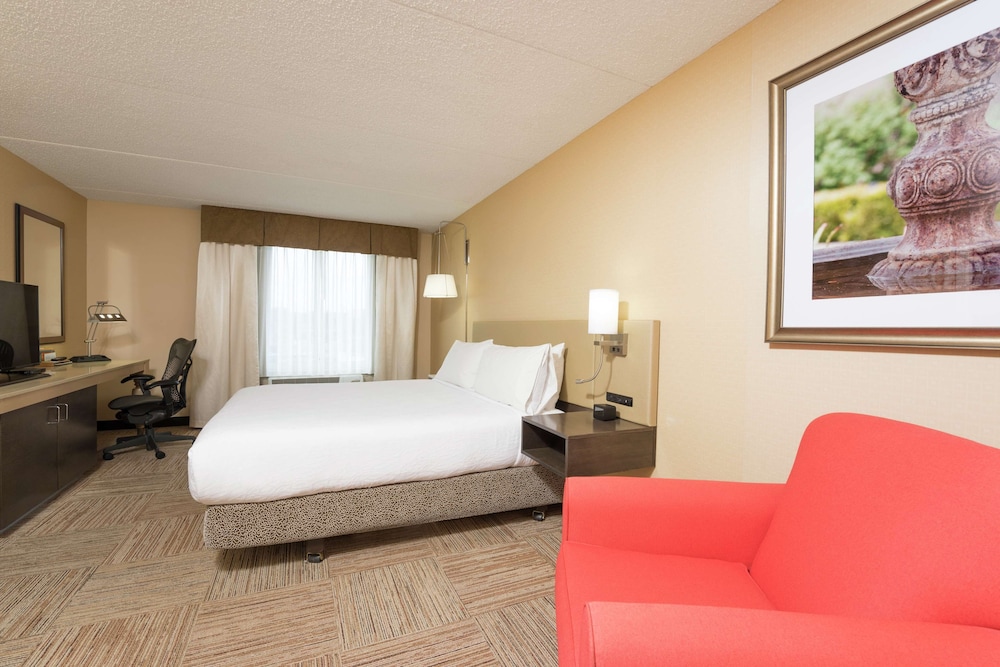 Suite, 1 King Bed photo 1
