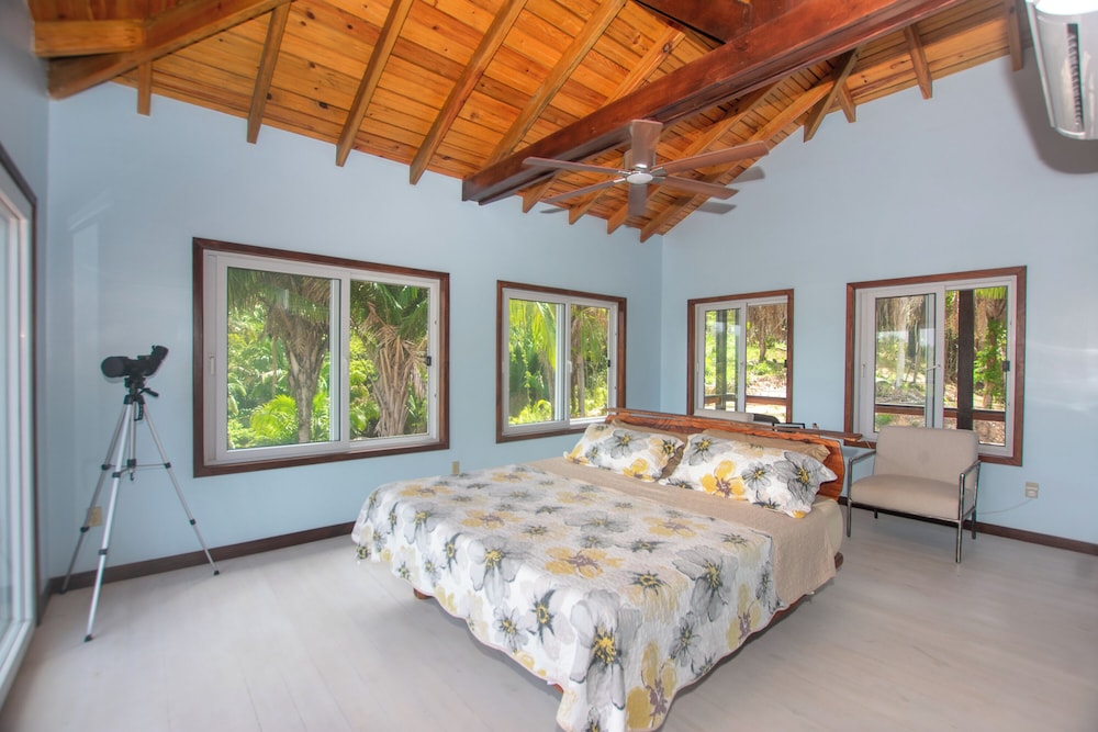 Deluxe Villa photo 2
