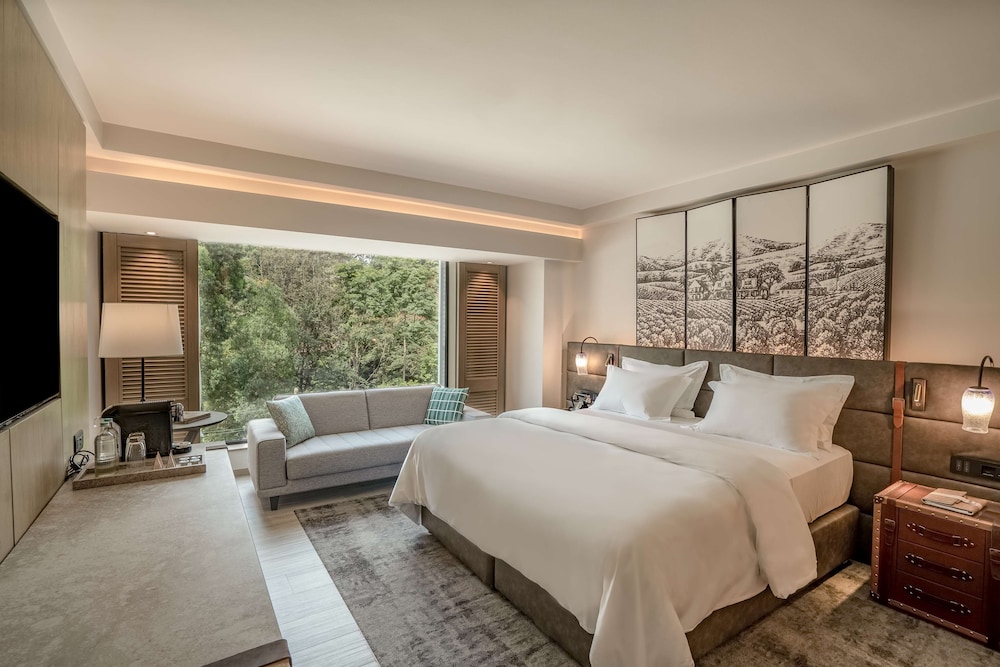 Serene King Accessible Guest Room - Photo 2