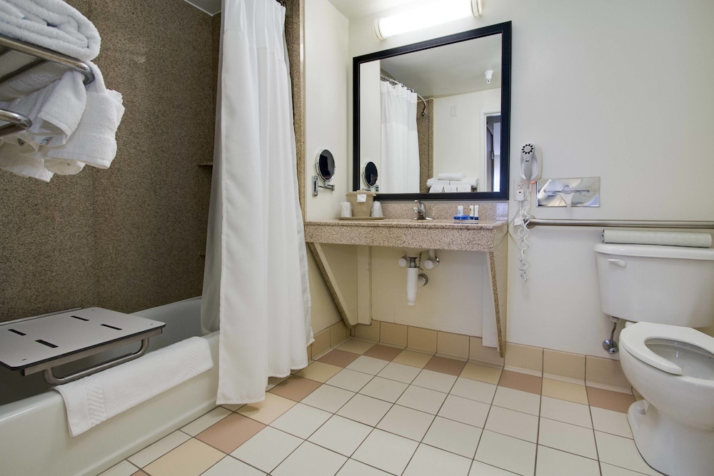 Suite, 1 Bedroom - Photo 5