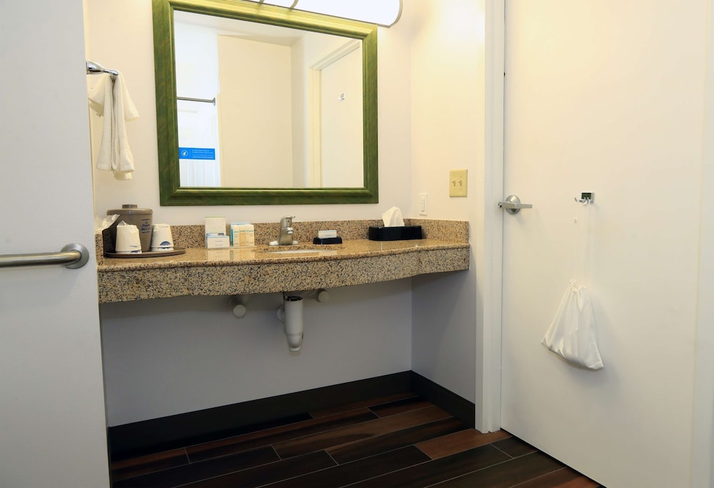 Room, 1 King Bed, Accessible, Non Smoking (Roll-in Shower) - Photo 6